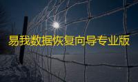 易我数据恢复向导专业版